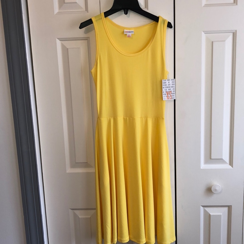Lularoe Nicki Dress